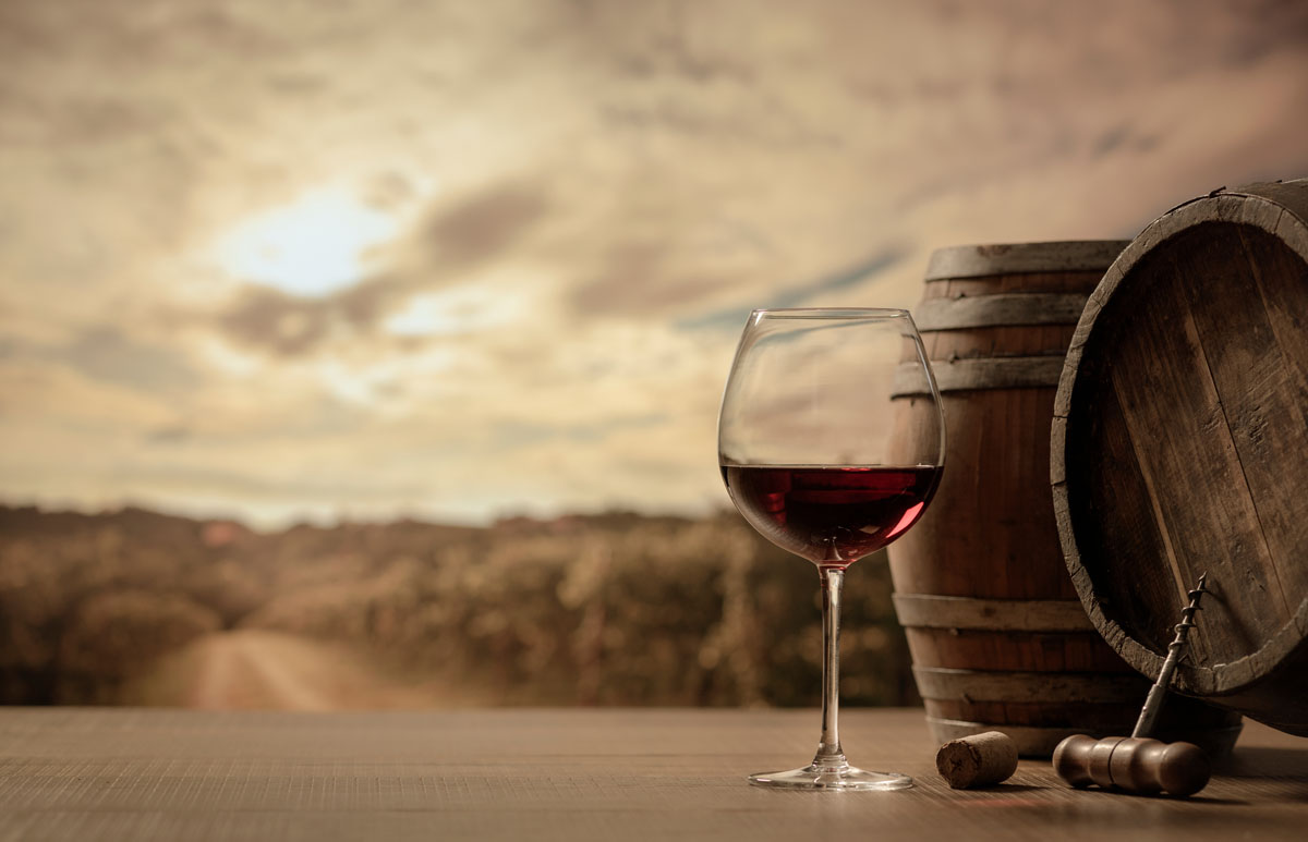 Vinhos que fizeram memória em 2025